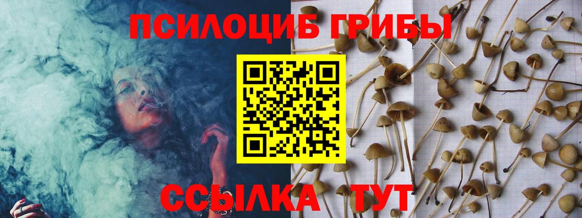 Галлюциногенные грибы мухоморы Новороссийск