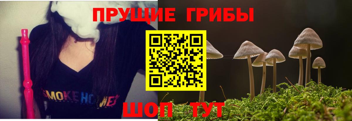 Галлюциногенные грибы Psilocybine cubensis  наркошоп  Псилоцибиновые грибы GOLDEN TEACHER  Новороссийск  Вход с VPN 